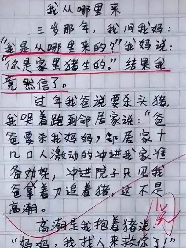 米乐官方网站小学生作文《小学生作文》小学生作文《我的爸妈》走红意外撞见父母夜生活