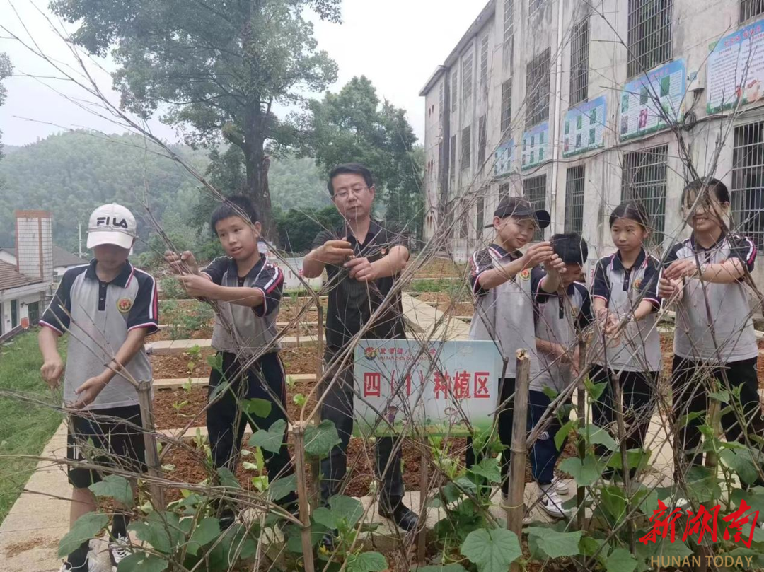 米乐官方网站小学生作文有关春游的作文何锋：用爱点亮农村留守孩子心灯