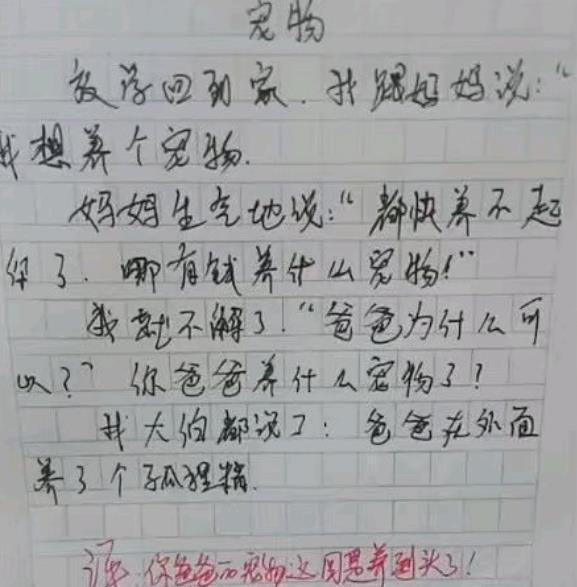 米乐m6官方网站小学生作文小学生写人作文范文小学生作文《姑姑》走红太过于真实姑姑