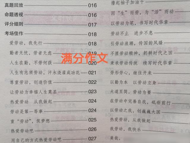 米乐m6官方网站高考作文高分模板高中生作文高中作文优美开头高考满分作文《少年去远